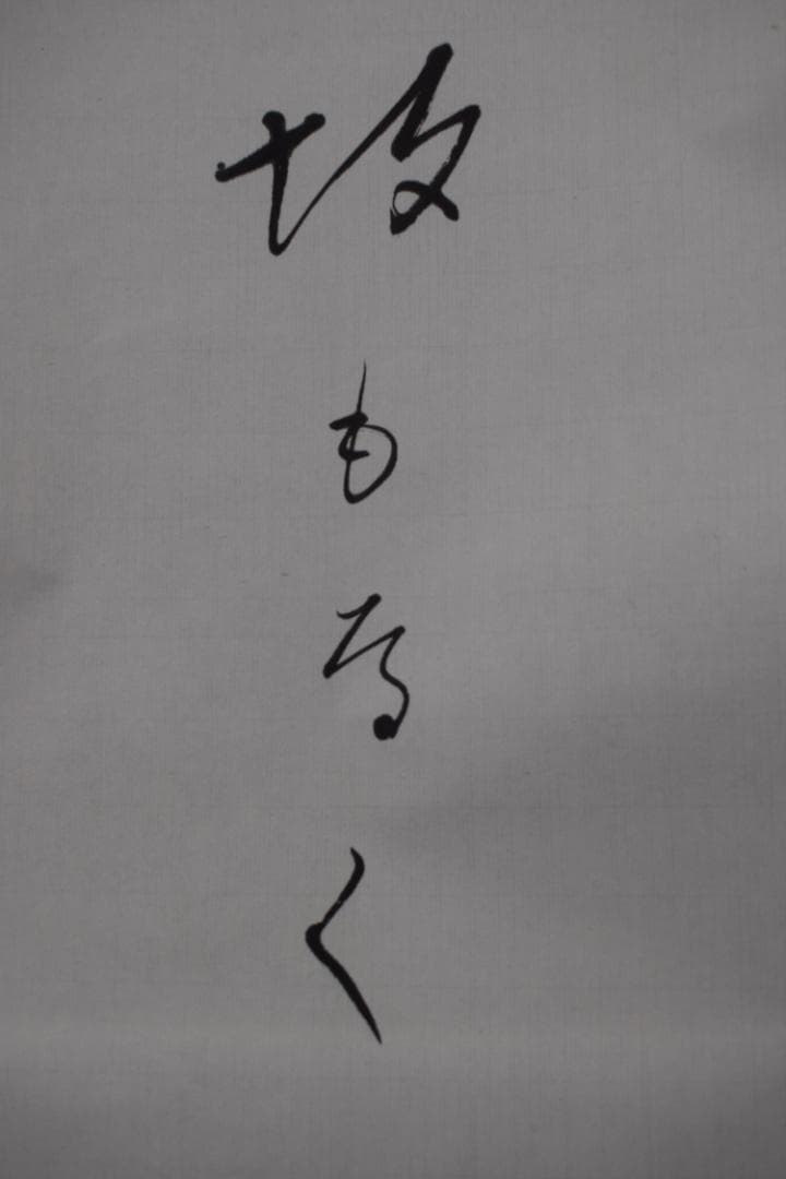 【真作】高野山管長/森寛紹/俳句/涼しさや・・・・/掛軸☆宝船☆Y-947　JM