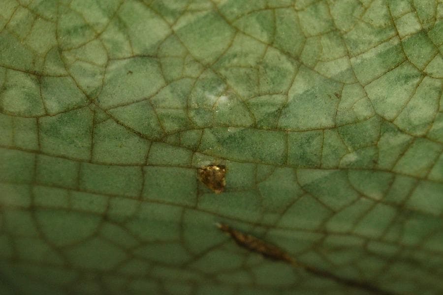 中国美術 七官青磁 三足 水盤 瓶掛 時代物(A880)