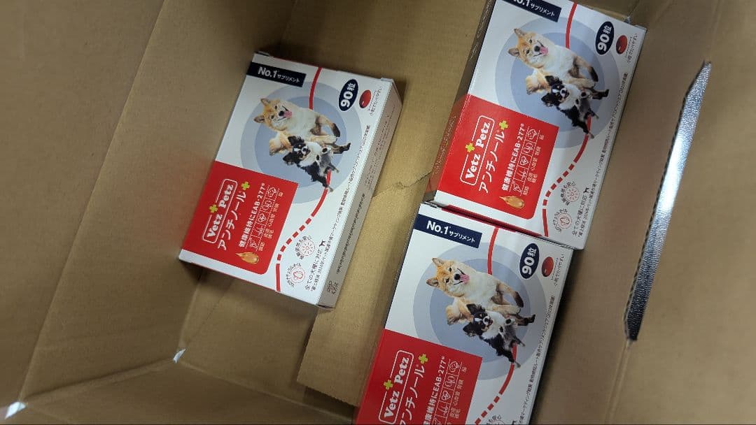 アンチノール　90粒　3個セット