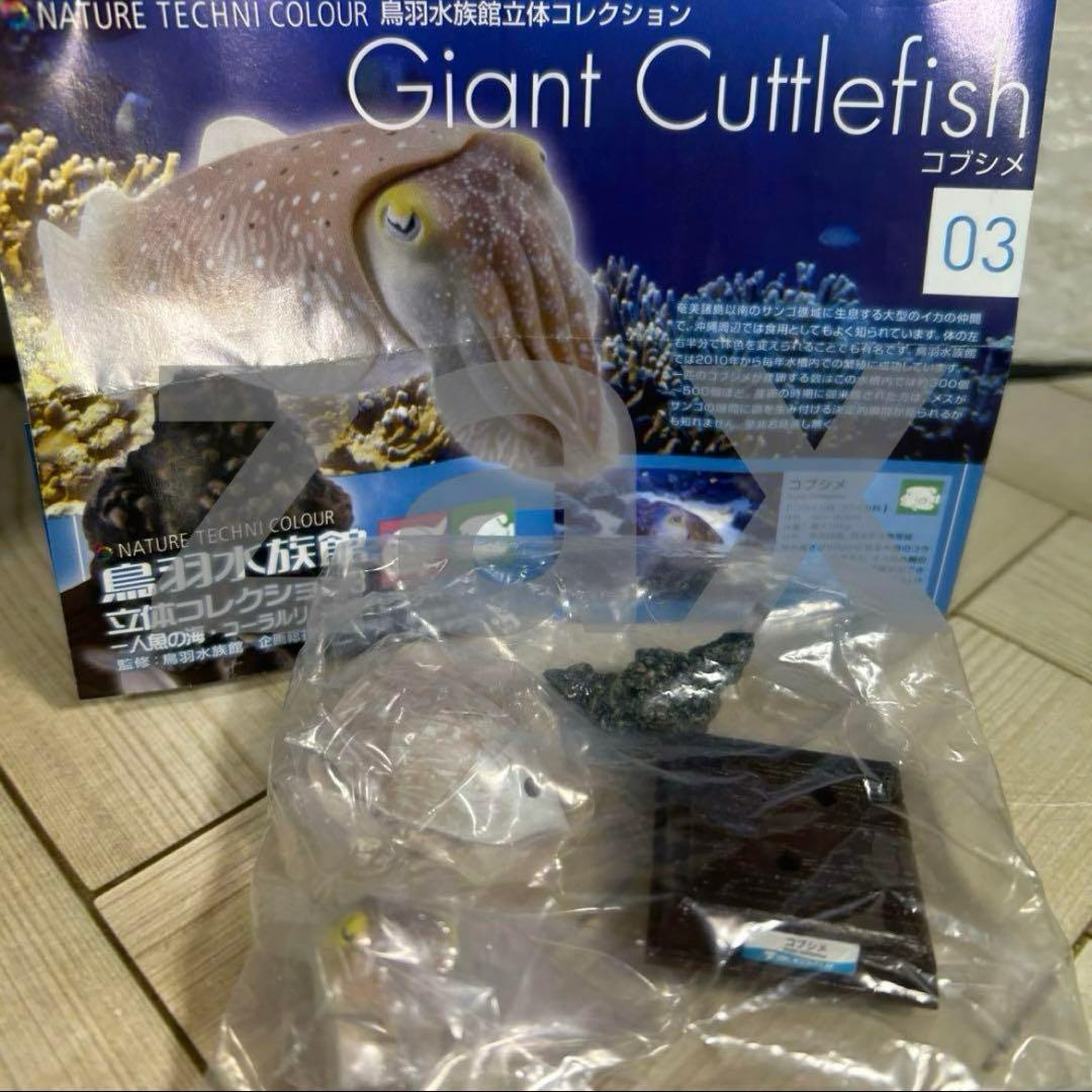 コブシメ　鳥羽水族館　ネイチャーテクニカラー 未開封