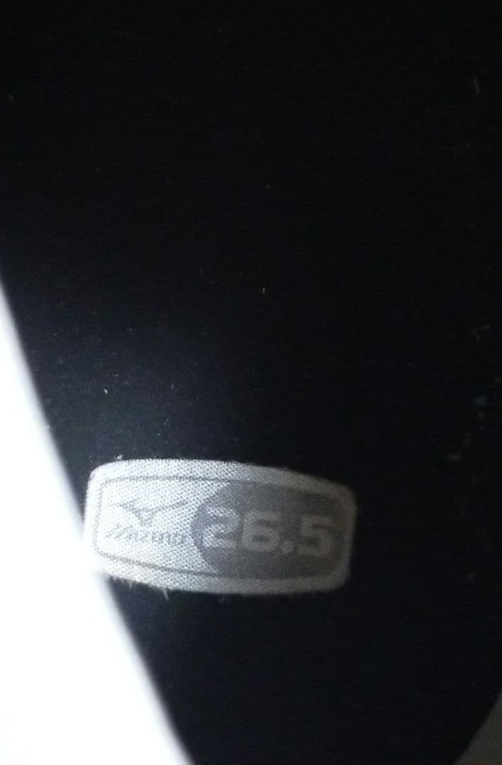 Mizuno ボクシングシューズ 26.5cm