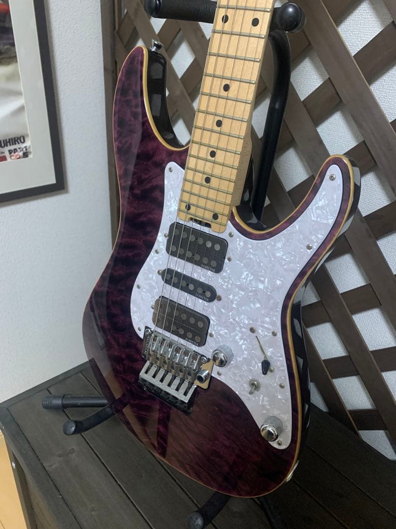 ギター Schecter SD-2-24 BW PUR/M