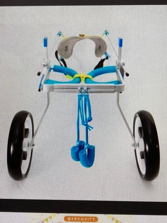 ペット車椅子　２輪歩行器　XＬサイズ