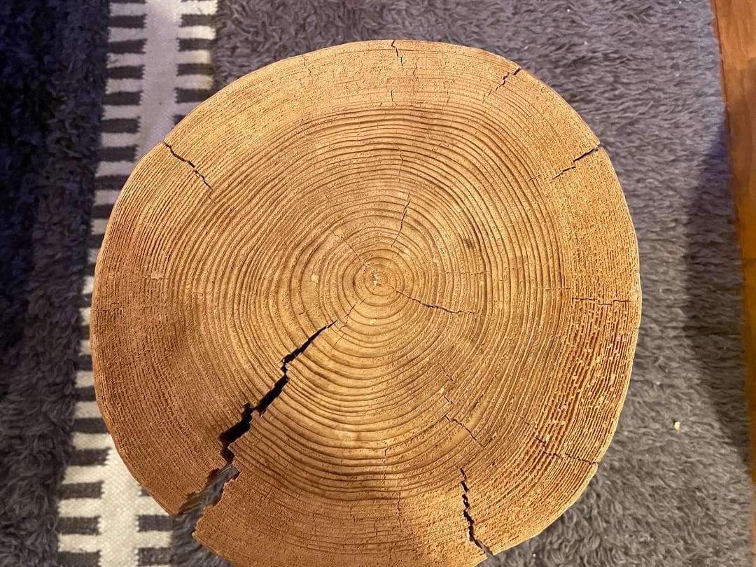 DI CLASSE ディクラッセ フラスカ スツール Frasca stool