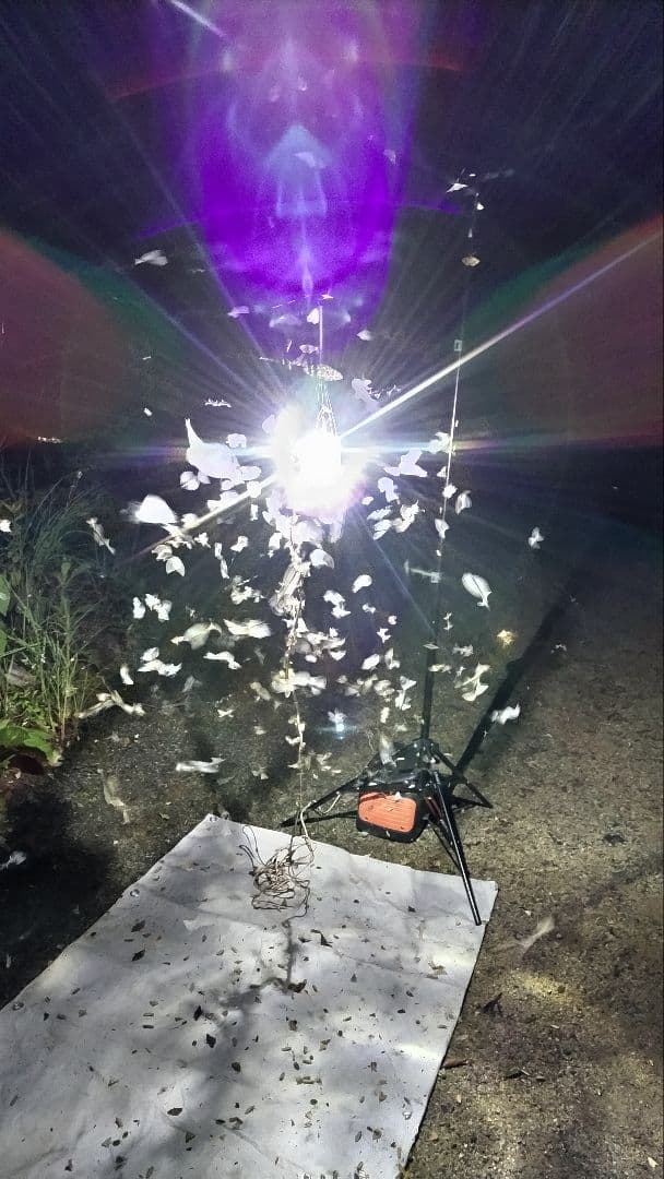 HIDライトトラップ サーチライトタイプ55W 紫外線放出加工済み スタンド無し