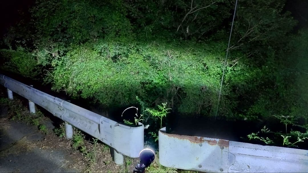 HIDライトトラップ サーチライトタイプ55W 紫外線放出加工済み スタンド無し