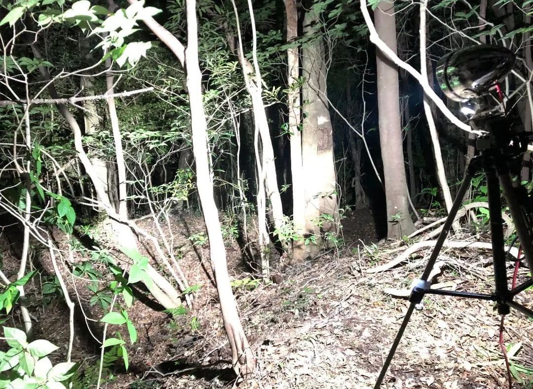 HIDライトトラップ サーチライトタイプ55W 紫外線放出加工済み スタンド無し