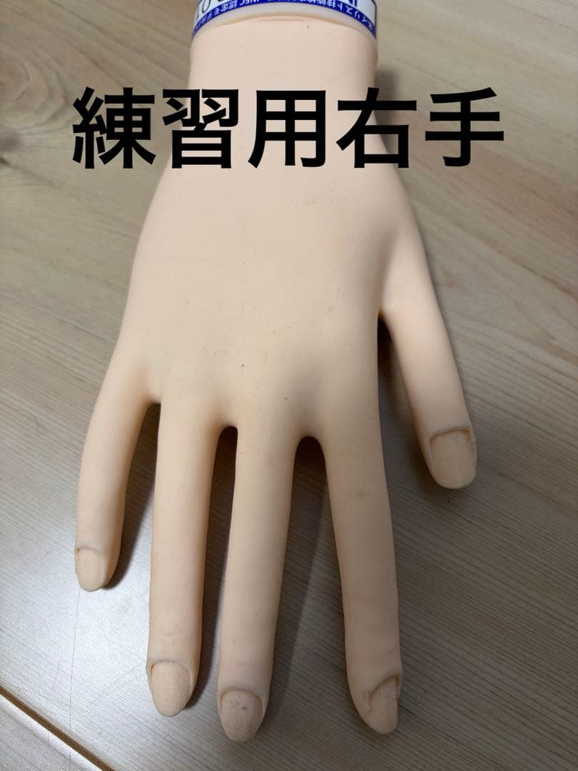 ネイル検定、ネイルアート練習用手モデルセット