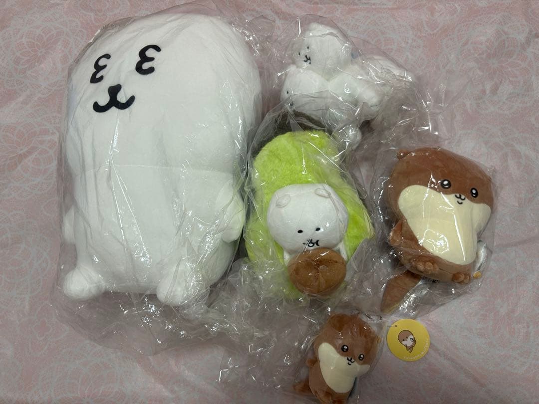 ナガノのくま　ぬいぐるみくじ　1等　A賞　ナガノマーケット　ナガノくじ　アボカド