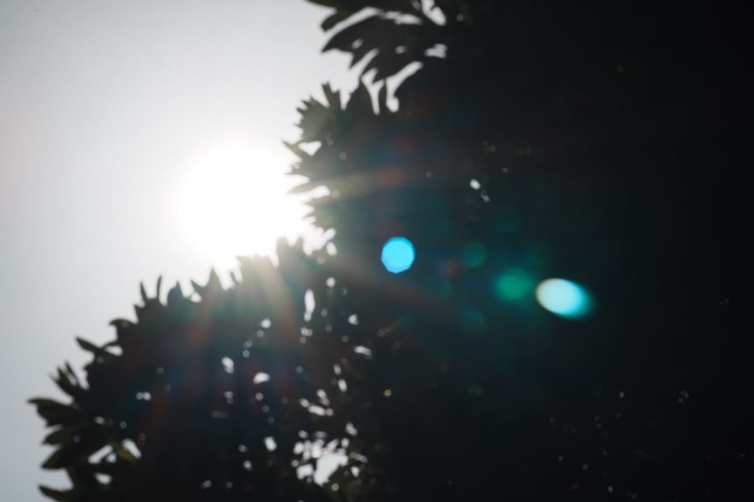 【希少】SONY 135mm F1.8 ZA 美しいボケ 絶品描写 ポートレート