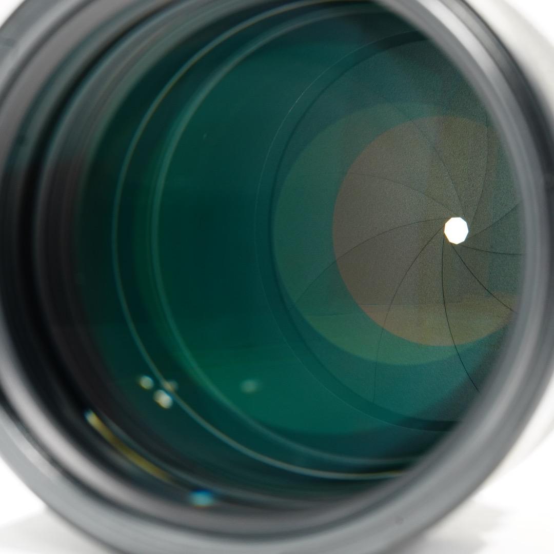 【希少】SONY 135mm F1.8 ZA 美しいボケ 絶品描写 ポートレート