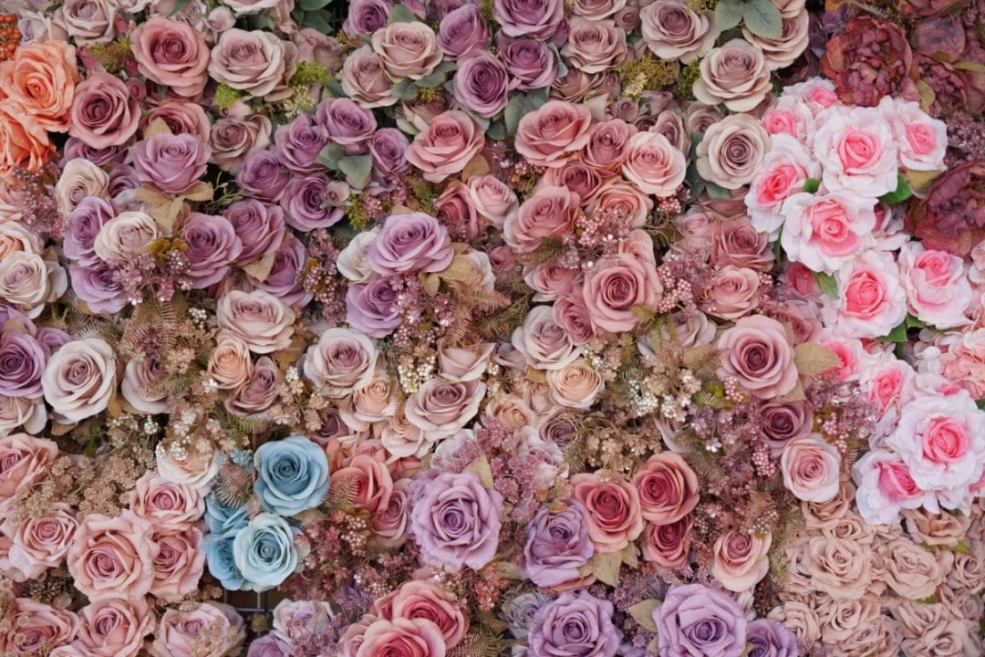 【SONY】FE 24-105mm F4 G OSS【ソニー】