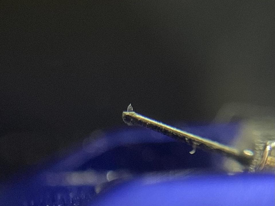 レコードカートリッジ PHASEMOTION PP200