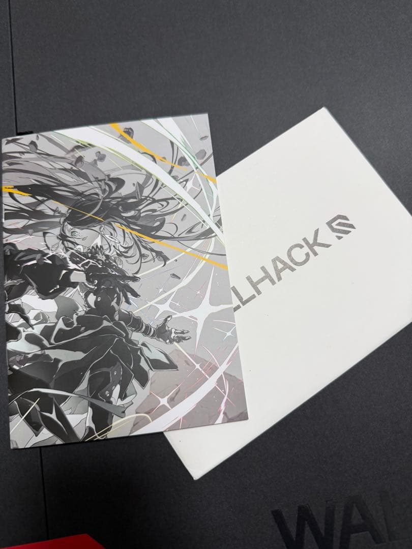 SP004 限定版　FUTUREFALL 【開封済み未使用】