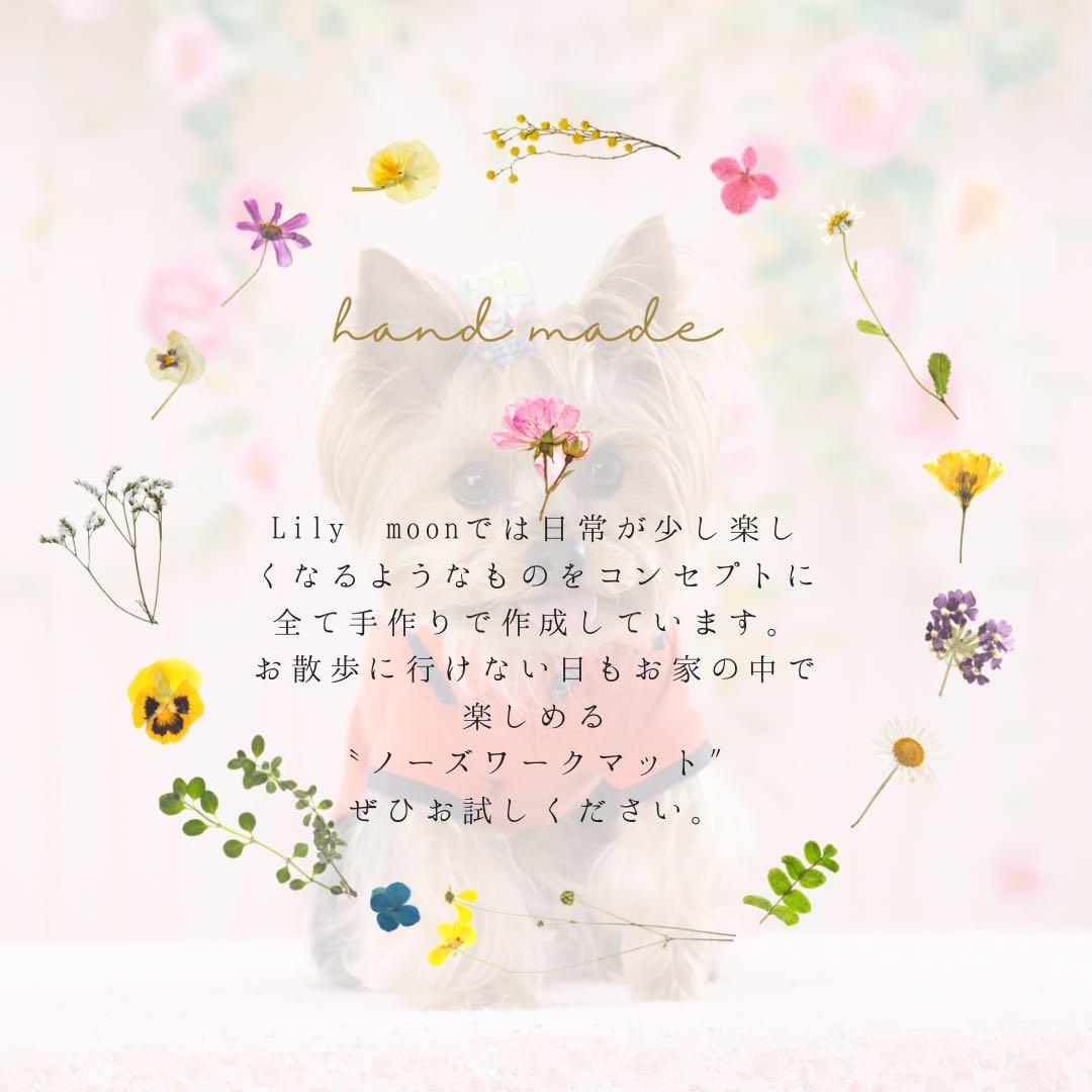 見本になります【honey milk latte】　ノーズワークマット