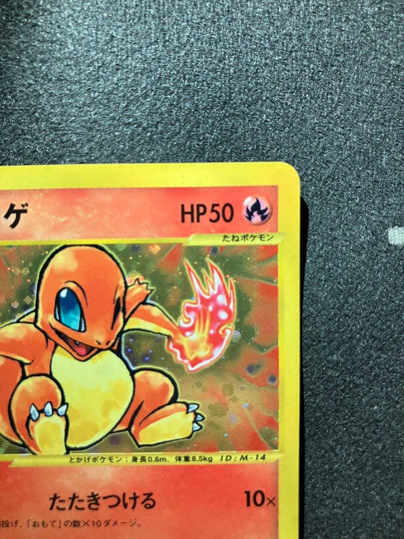 【マクドナルドプロモ】ヒトカゲ・炎エネルギーセット