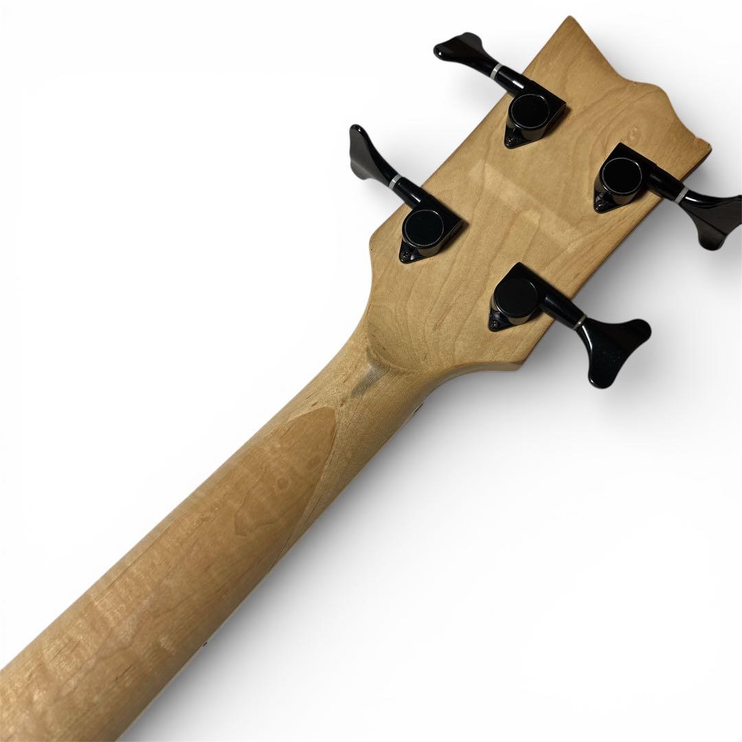 ESP Grassroots イーエスピー グラスルーツ　新品弦交換済み