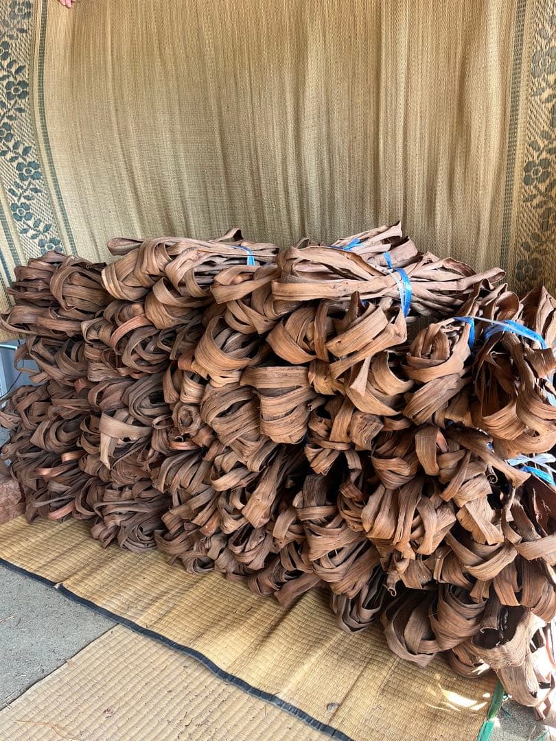 山葡萄　蔓　確認用