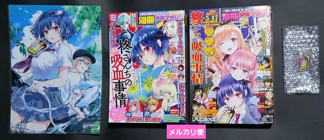 【短期間限定出品】柊さんちの吸血事情☆セット☆