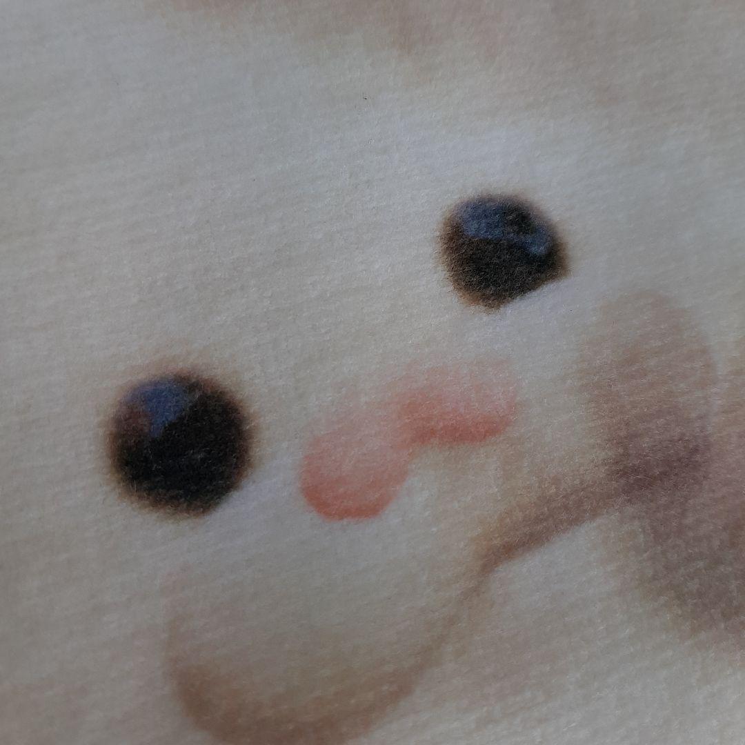 吉住渉先生　直筆サイン色紙　平成　レトロ　レア　希少