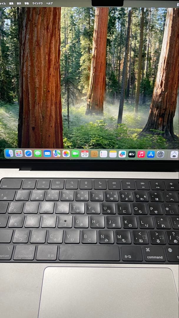 MacBook Pro M1 Pro 16GB 14インチ