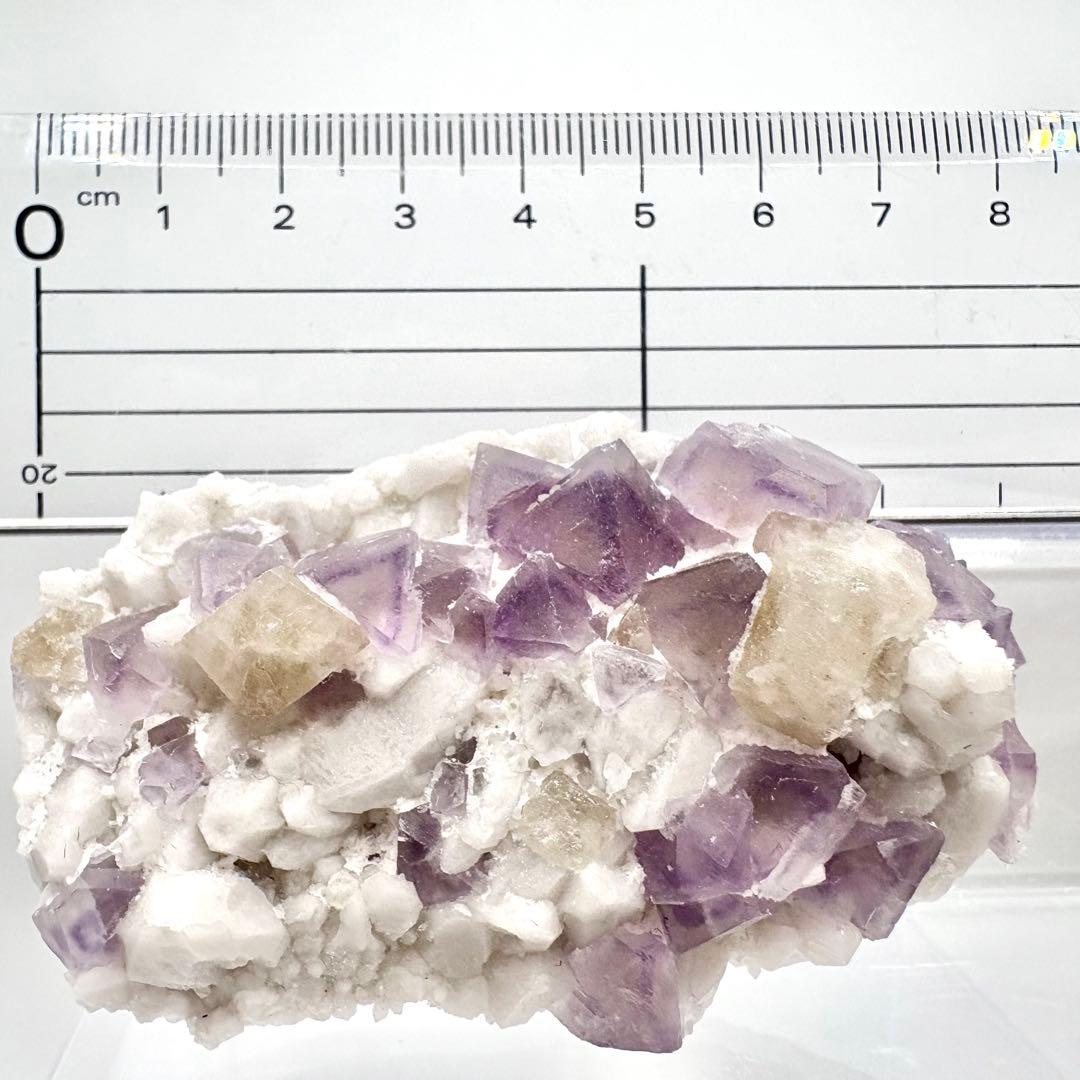 565 中国内モンゴル産　八面体フローライト&シェーライト