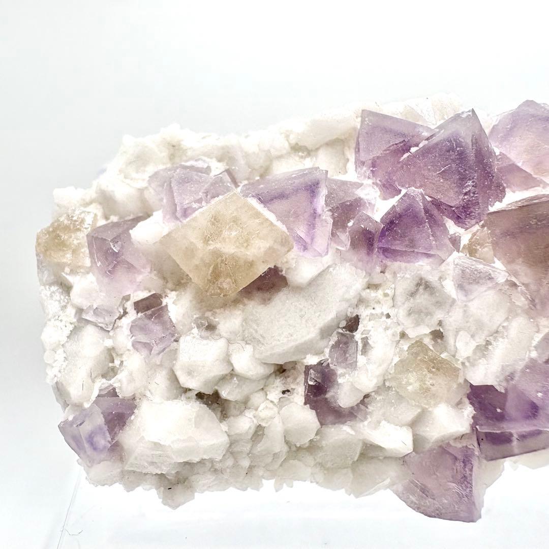 565 中国内モンゴル産　八面体フローライト&シェーライト