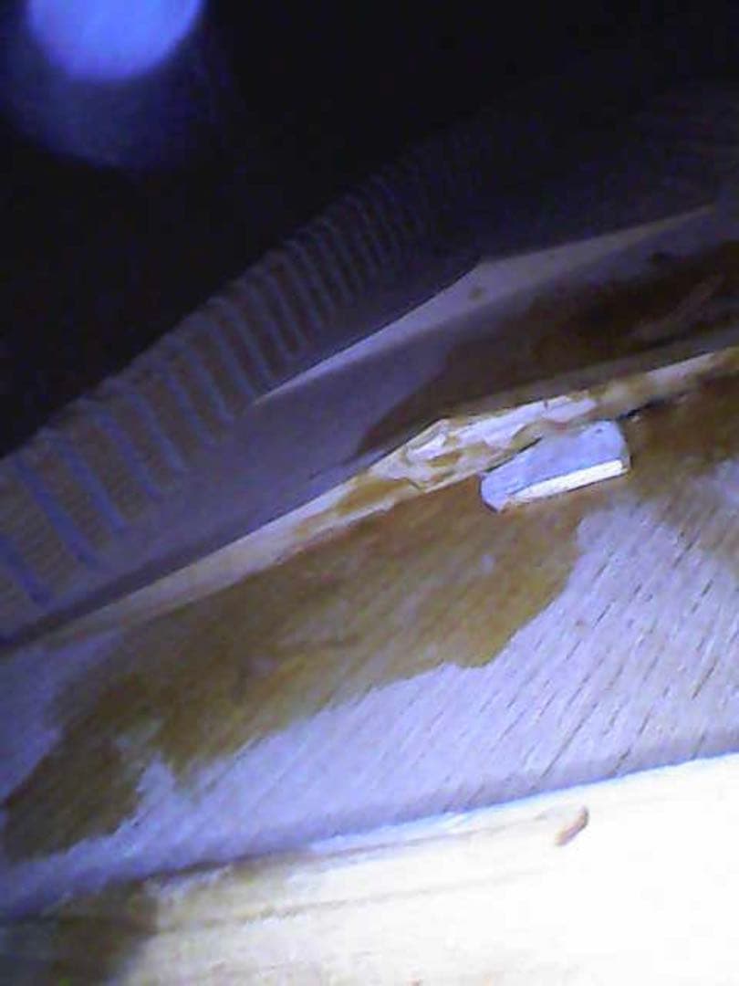 【修復・キズあり】Samick Greg Bennett ASDM オール単板