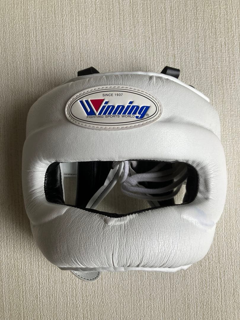 Winning ヘッドギア フルフェイス軽量タイプ　ホワイトM FG-5000