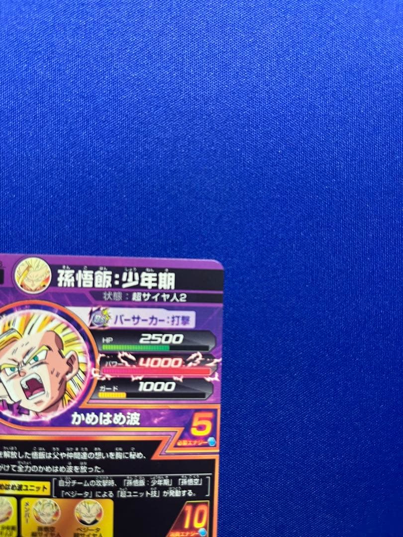 H2-16 孫悟飯:少年期 本家