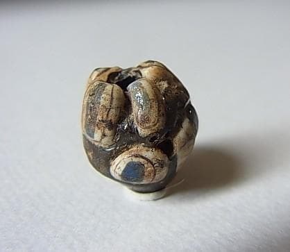 ★G2702★古代とんぼ玉 (A46)リアル！ 重層　8個の眼文　ガラスビーズ