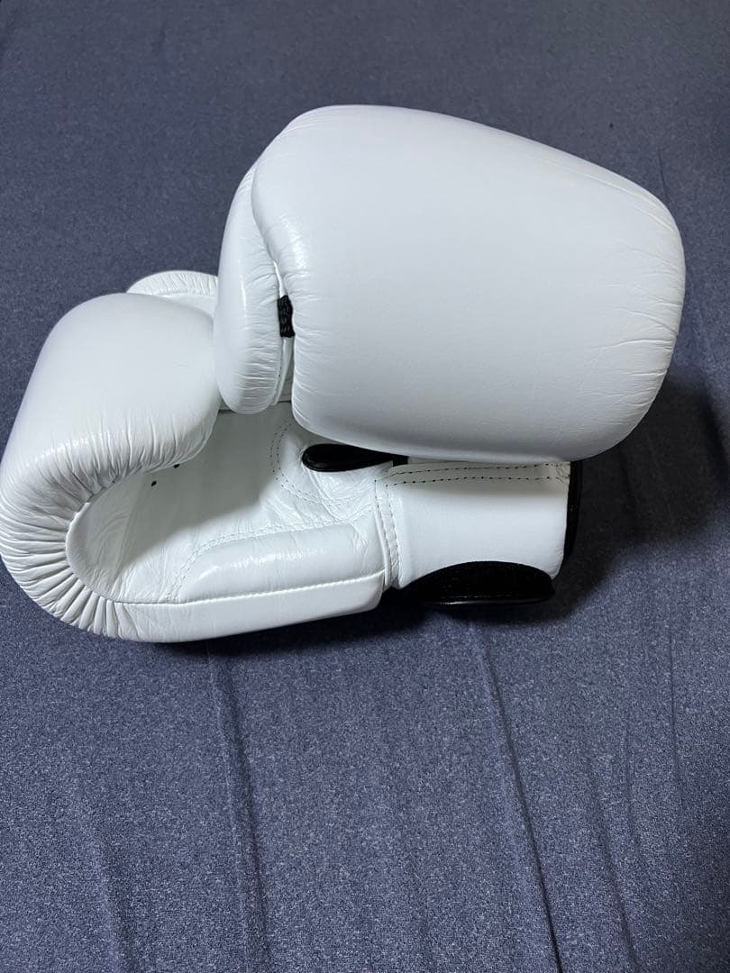 Fairtex ボクシンググローブ ホワイト