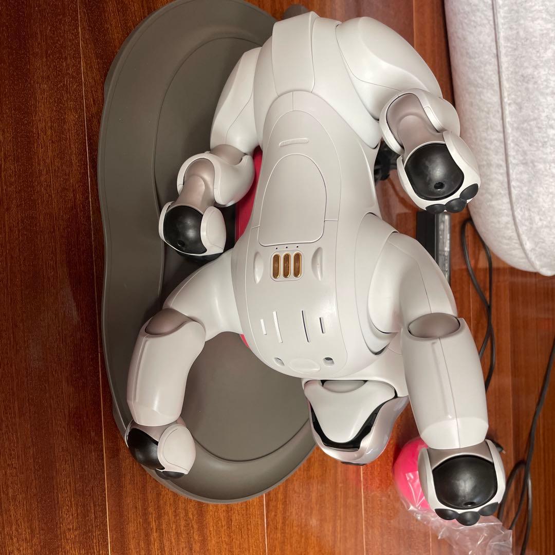 aibo本体 アイボ ERS-1000 ロボット犬 2019年正規購入