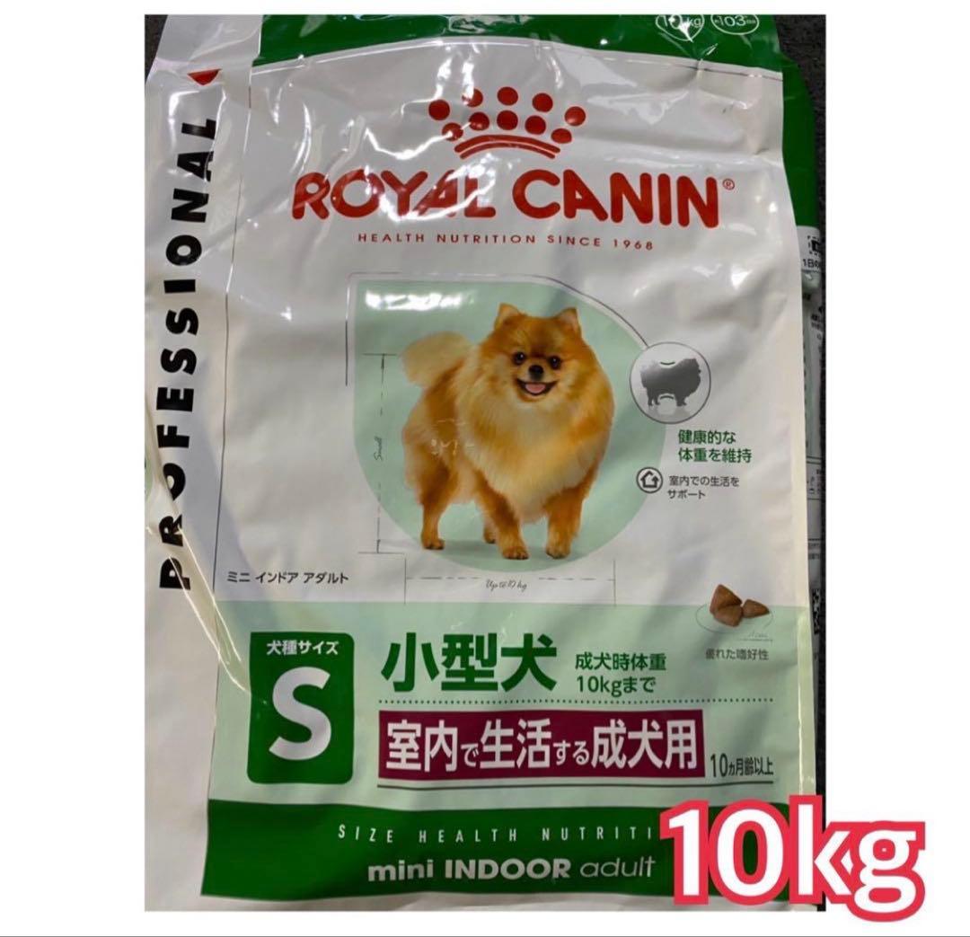  CANIN ミニインドアパピー　ミニインドアアダルト