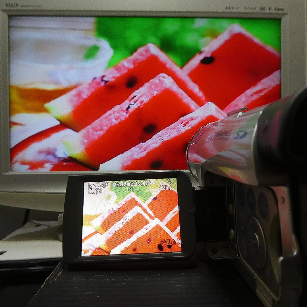 動作良好 パナソニックNV-GS120 MiniDVビデオ　デジタルダビングに