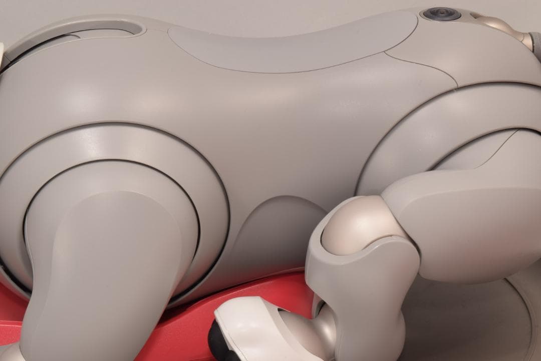 黒ゴマ ソニー アイボ ERS-1000 アイボーン AIBO SONY レア