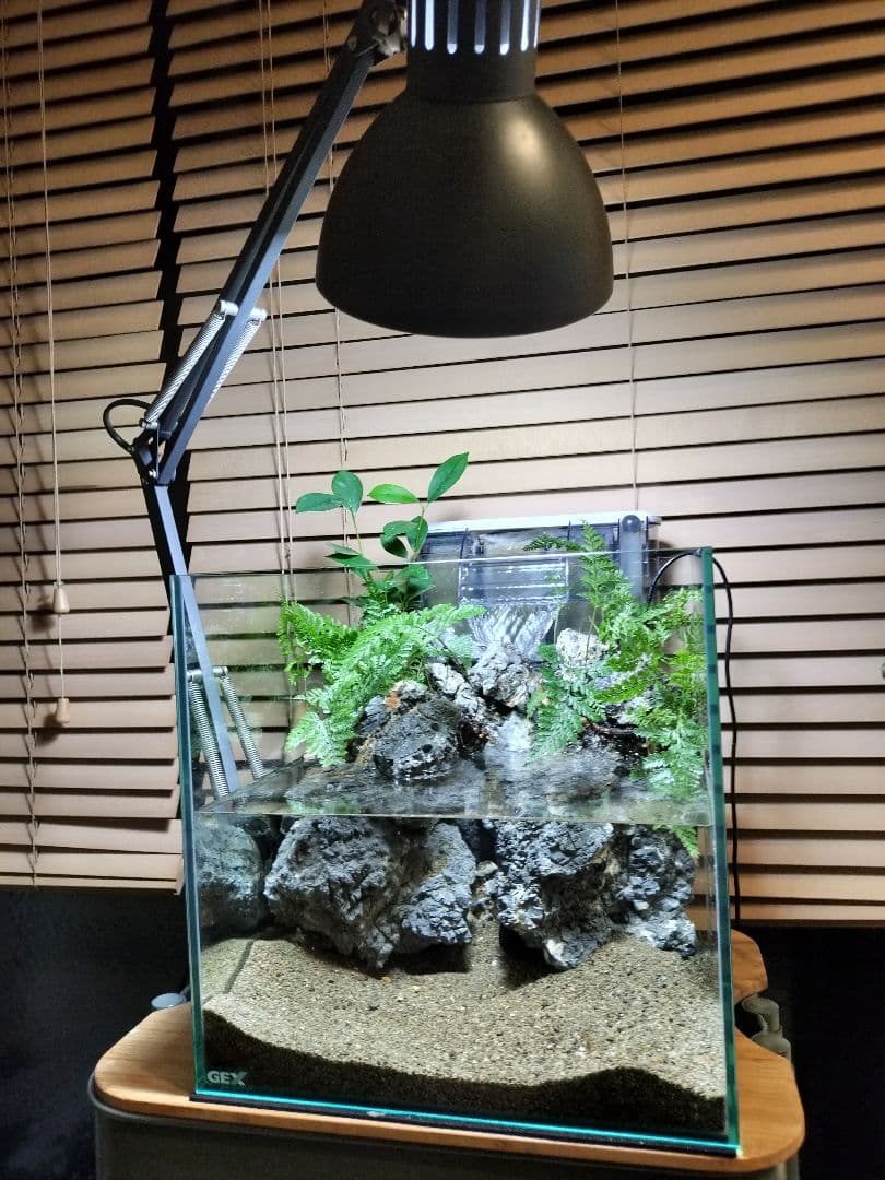 【アクアテラリウム完成品】滝のあるテラリウム パルダリウム アクアリウム