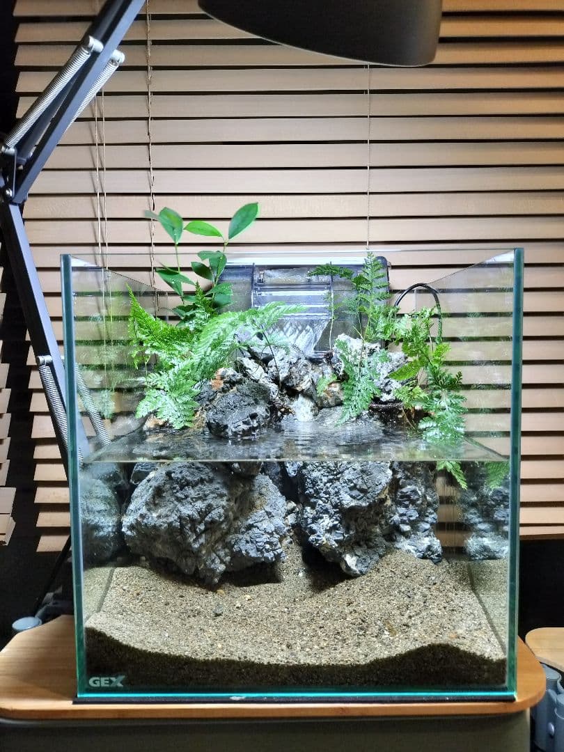 【アクアテラリウム完成品】滝のあるテラリウム パルダリウム アクアリウム
