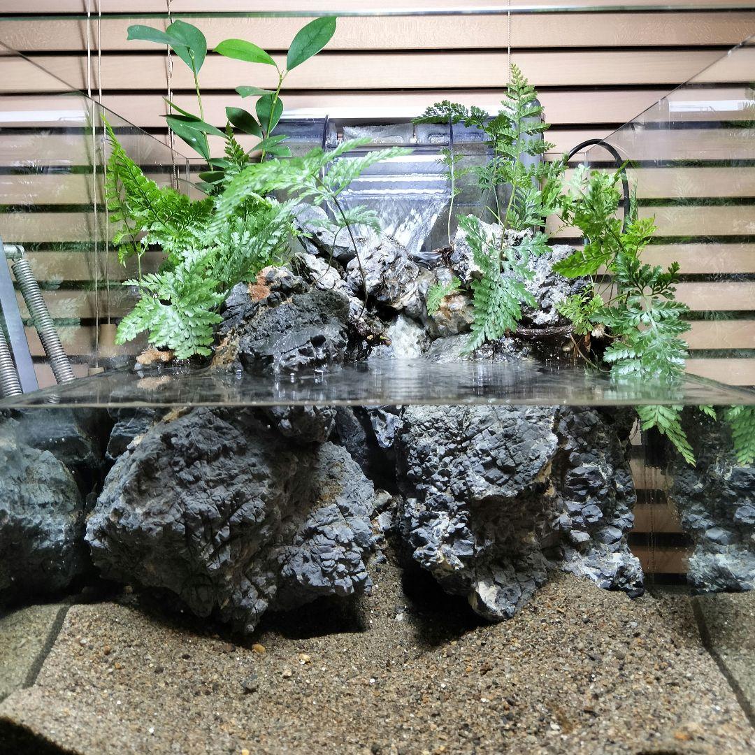【アクアテラリウム完成品】滝のあるテラリウム パルダリウム アクアリウム