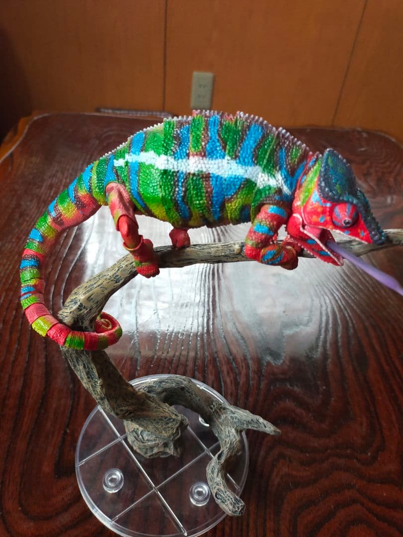 いきもの大図鑑プレミアム　パンサーカメレオン　アンビローブ・グリーン