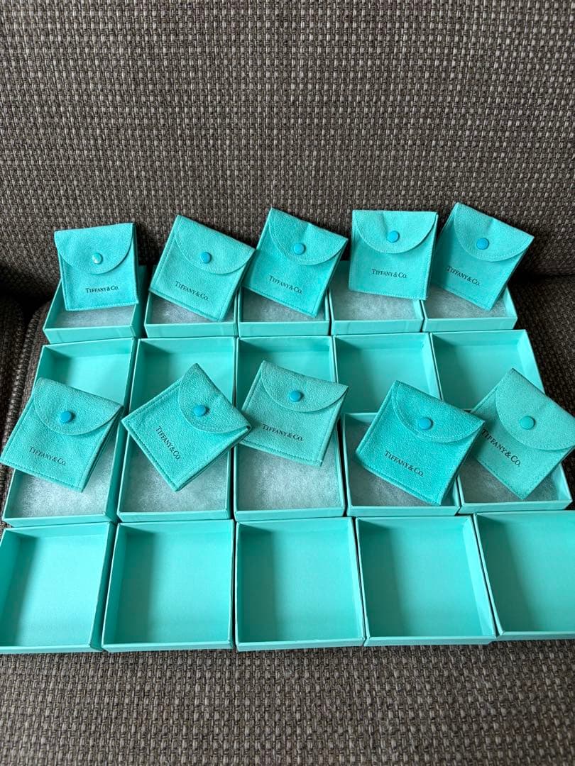 旧型 中古形 正方形 空箱 保存袋10セット