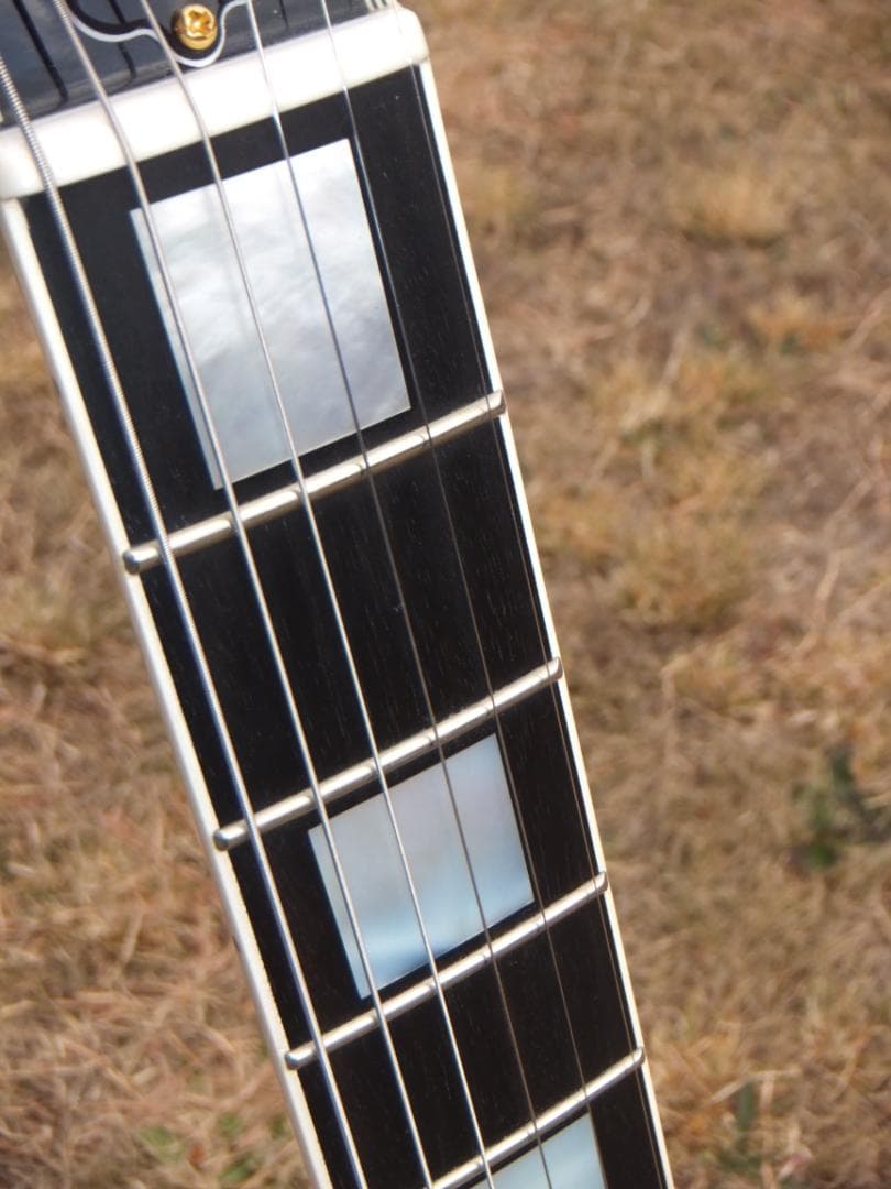 Fujigen NLC20EMH ラッカー　マホボディー　エボニー指板