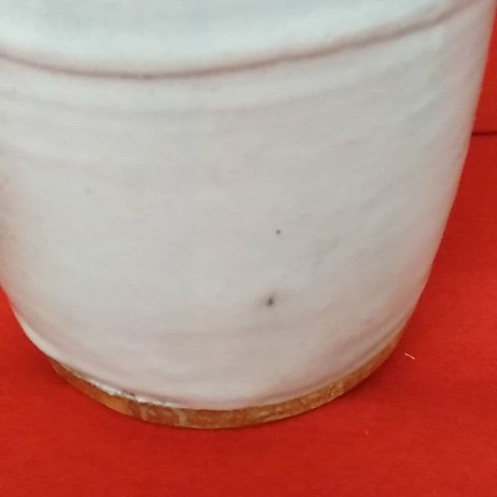 野坂康紀　萩焼き水差し