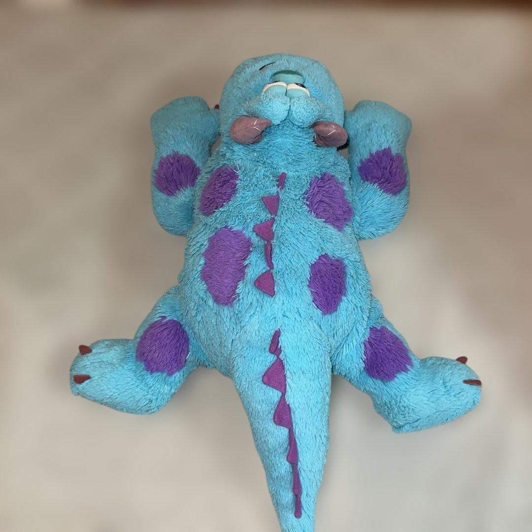 僕の相棒サリー。