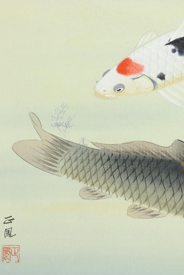 【真作】掛軸 八木正風『錦鯉 遊鯉』日本画 絹本 肉筆 共箱付 掛け軸 e574