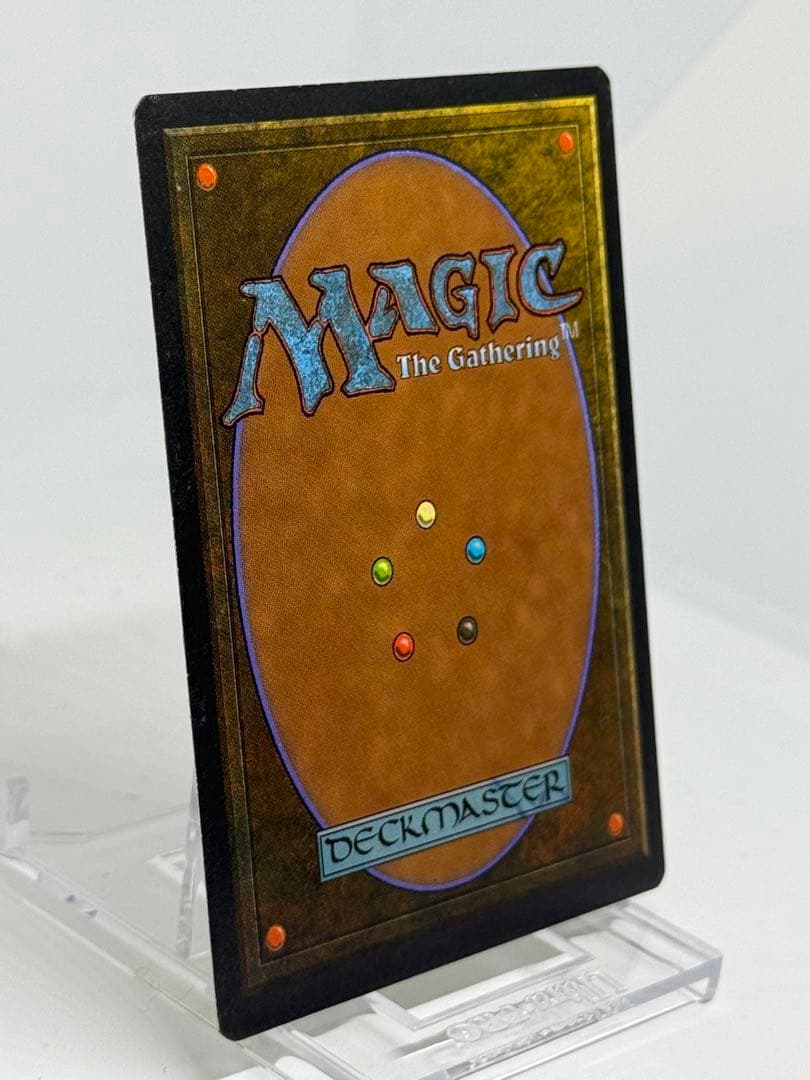 《Savannah》[3ED]リバイズド　ドイツ語版　デュアルランド