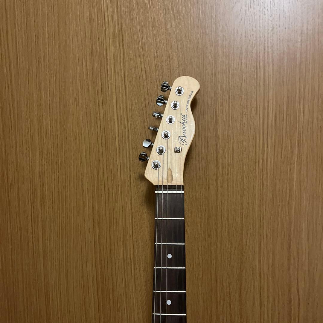 Bacchus custom guitar ＆Zoom G5 セット