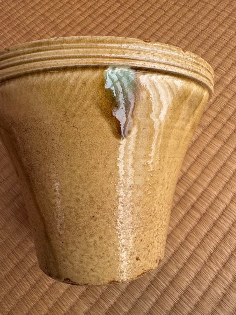 淡々斎☆黄瀬戸末広水指