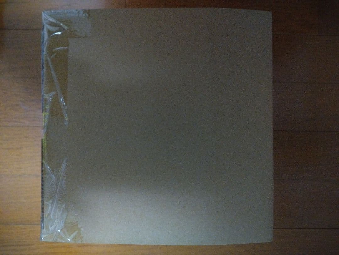 聖闘士聖衣神話EX レオアイオリア OCE　輸送箱未開封品　魂ネイション 限定