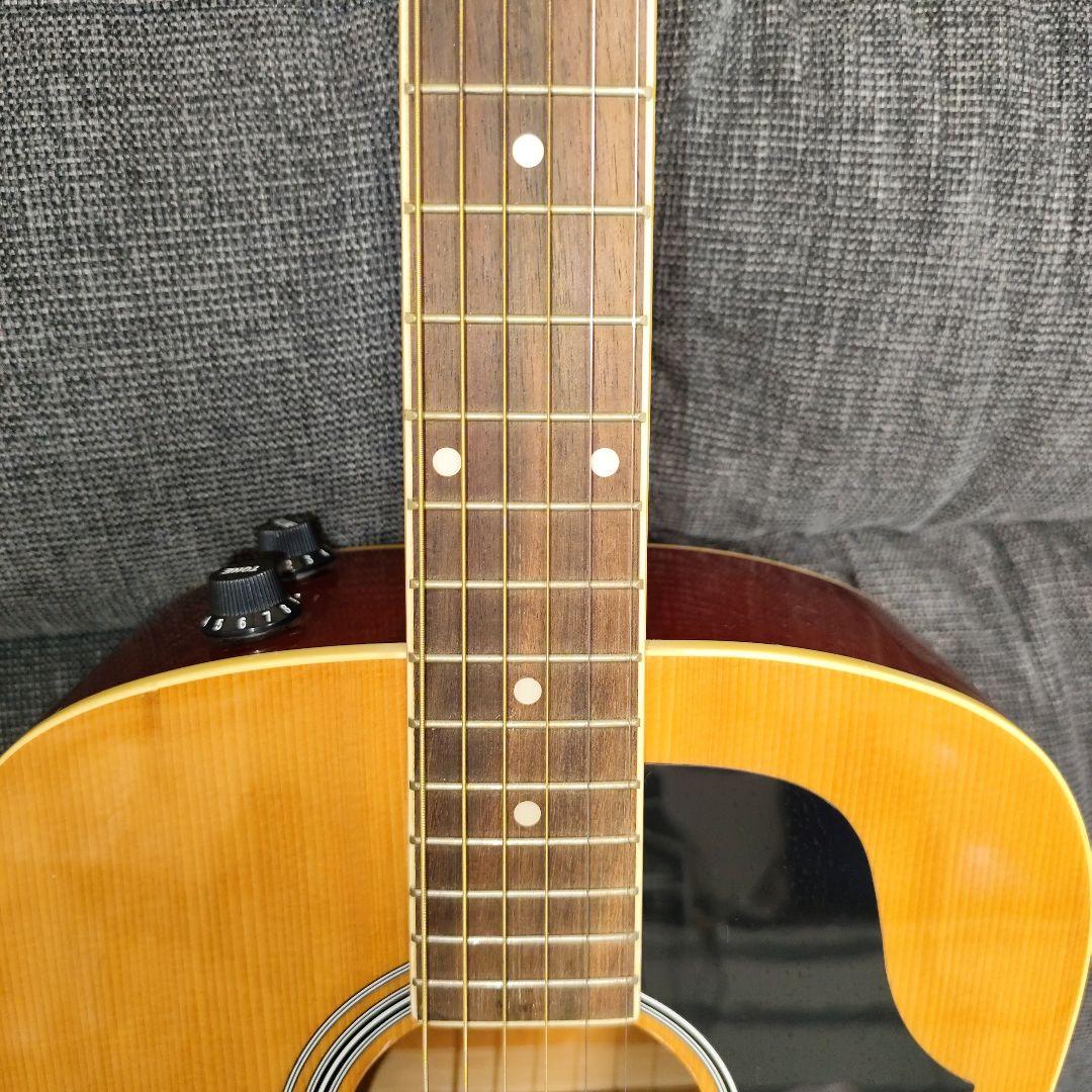 エレアコ Legend Powerd by ARIA LJ-15EN